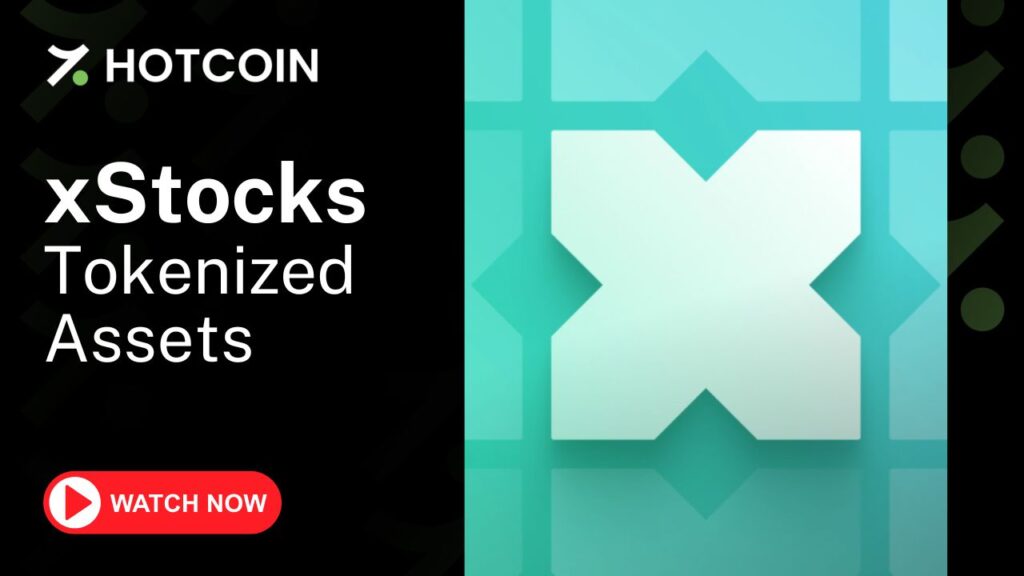 xStocks