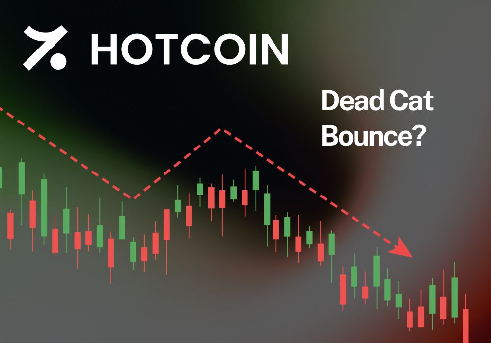 Dead cat bounce