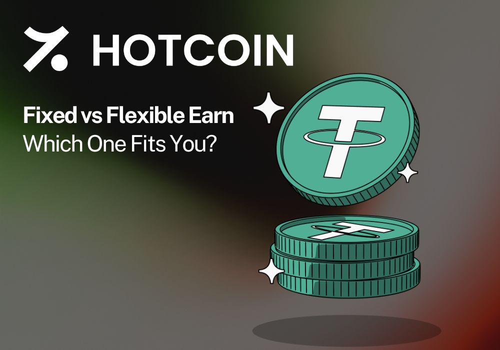 Fixed vs Flexible Earn: Which One Fits You?
